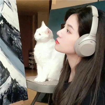 春花秋月未了情