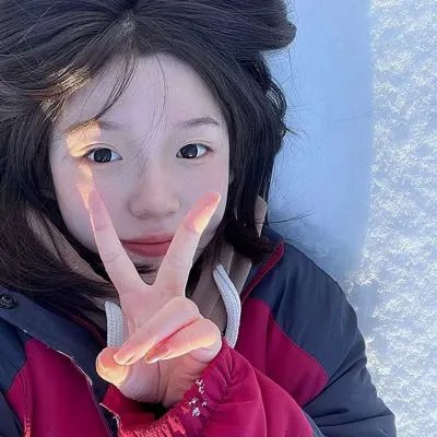 护国驸马爷一国驸马护山河